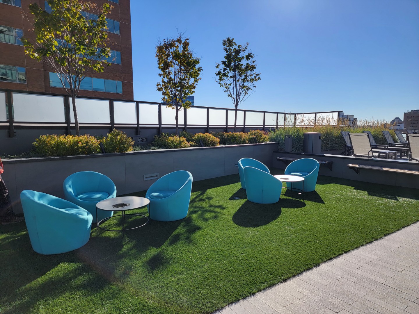 urban backyard landscape irrigation and lighting