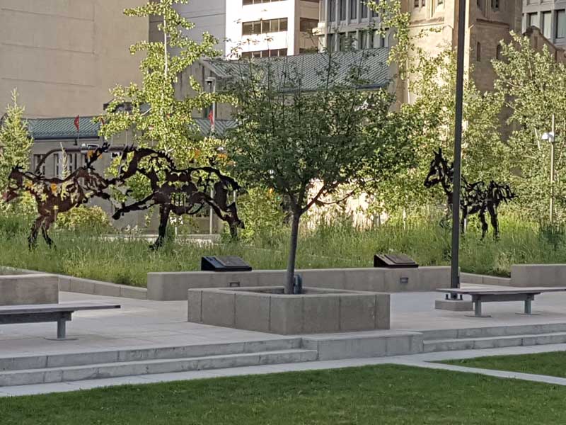 irrigation at city of calgary