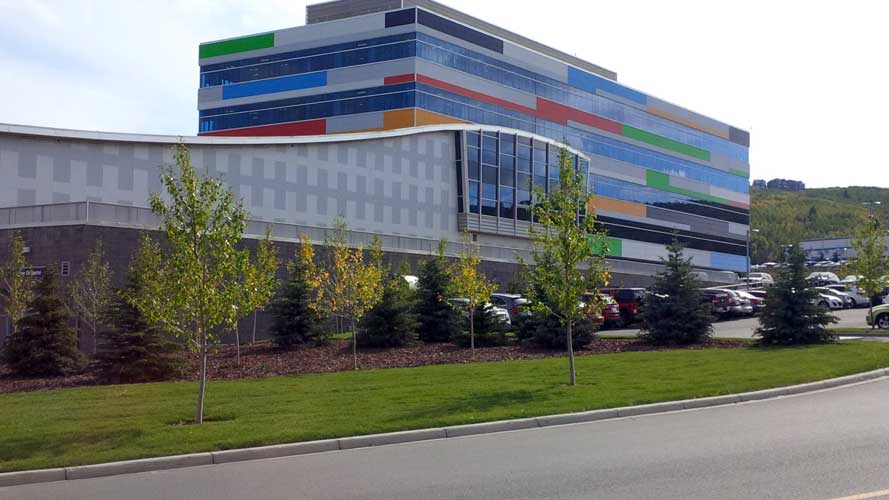 irrigation at winsport calgary